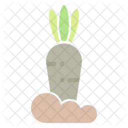 Carrot Growth  Icon