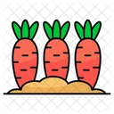 Carrot Harvest Farming Agriculture Icon