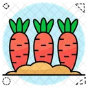 Carrot Harvest Farming Agriculture Icon