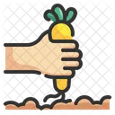 Carrot Harvest Carrots Harvest Icon