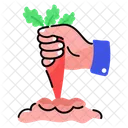 Carrot Harvest  Icon