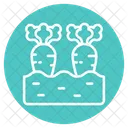 Carrot Food Vegetable Icon