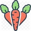 Carrot  Icon