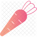 Carrot Icon Icon