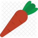 Carrot Icon Icon