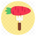 Carrot  Icon