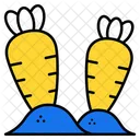 Carrot  Icon