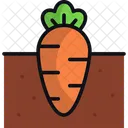 Carrot Vegetable Ripe Icon