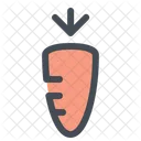 Carrots Harvest Farmer Icon