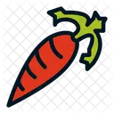 Carrot Healthy Food Healthy Icon