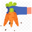 Carrot Vegetable Organic Icon