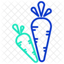Ivegetables Carrot Vegetables Icon