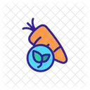 Organic Foods Food Icon