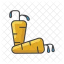 Carrot Fruit Diet Food Icon