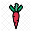 Carrot Vegetable Organic Icon