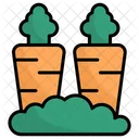 Carrot Vegetables Carrots Icon