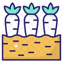 Carrot Carrots Diet Icon