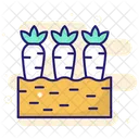 Carrot  Icon