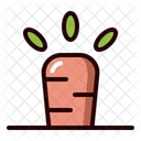 Carrot  Icon