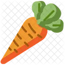 Carrot  Icon
