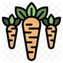 Carrot  Icon