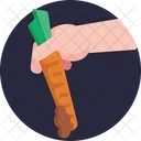 Carrot  Icon