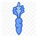 Carrot  Icon