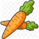 Carrot  Icon