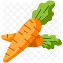 Carrot  Icon