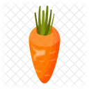Carrot  Icon
