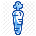 Carrot Icon