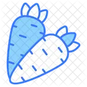Carrot  Icon