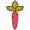 Carrot Root Veg Vitamin A Icon