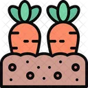 Carrot Carrots Agriculture Icon