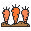 Carrot  Icon