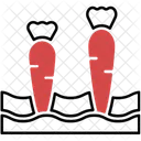 Carrot  Icon