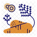 Carrot Icon