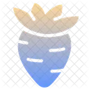 Carrot  Icon