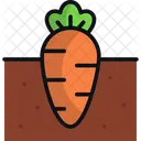 Carrot Vegetable Harvest Icon