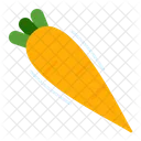Carrot Plant  Icon
