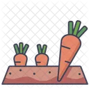 Carrot Plot Organic Carrot Icon