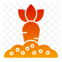 Carrot Sprouts  Icon