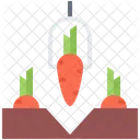 Carrot Taker  Icon