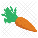 Vegetables Food Carrot Icon