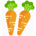Carrots Vegetable Organic Icon
