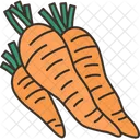 Carrots Root Harvest Icon