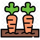Carrots Vegetables Organic Icon