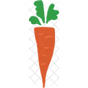Carrots Healthy Food Icon
