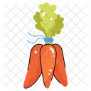 Carrot Fresh Healthy Icon