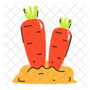 Carrots Cultivation  Icon